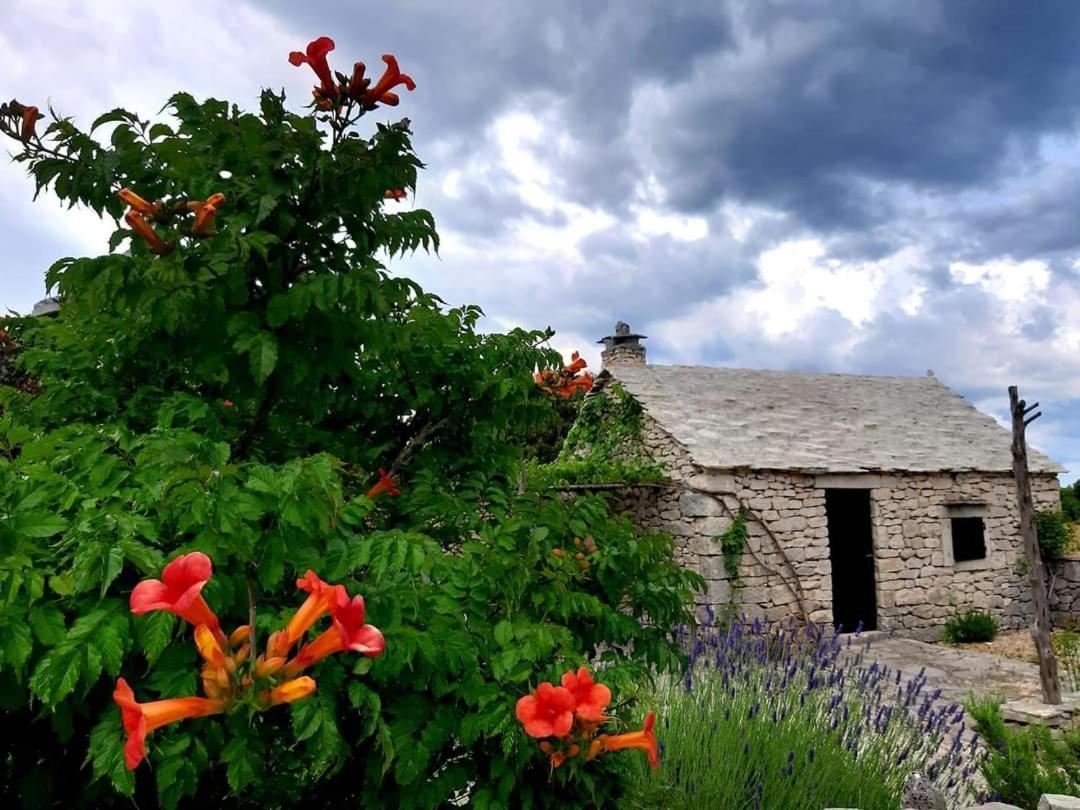 Country House Hacienda Selca  Exterior foto